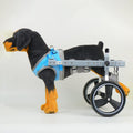 Dog Wheelchair Hind Leg Support, Hind Limb Disability Two-Wheeled Wheelchair, Elderly Dog Power Scooter, Soft Support, Easy Assembly,L