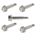 #14 x 3/4' - Hex Head Self Drilling Metal Tek Screws Stainless Steel 250 Pcs self Tapping Screws Metal B2B