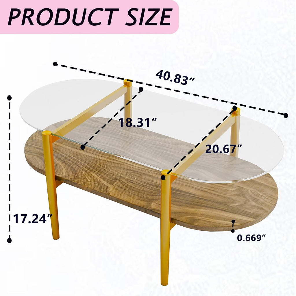 Modern Oval Glass Coffee Tables, 2-Tier Mid Century Modern Center Table, Tempered Glass Tabletop & Golden Metal Frame, Living Room, Office